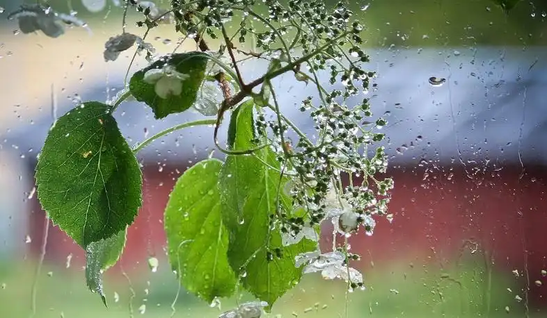 Հանրապետութեան մէջ կը սպասուին տեղումներ. օդի ջերմաստիճանը պիտի նուազի 5-7 աստիճանով