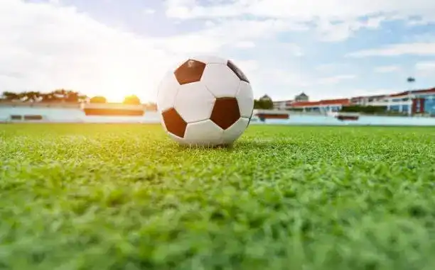 2029-ին աշխարհի մինչեւ 20 տարեկաններու ֆութպոլի առաջնութիւնը տեղի պիտի ունենայ Հայաստանի եւ Վրաստանի մէջ