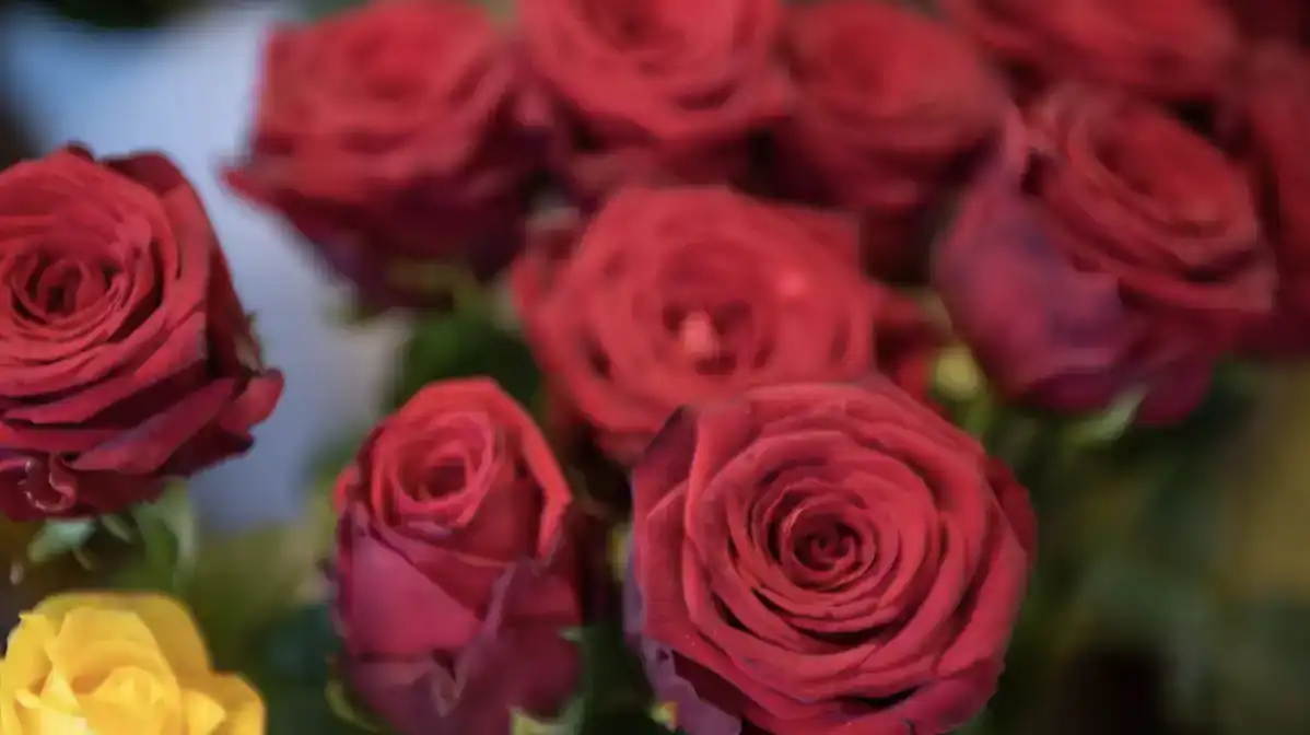 Յայտնի է, թէ 960  ամն տոլար գումարով ինչ ներմուծած է Պաքուն Երեւանէն 