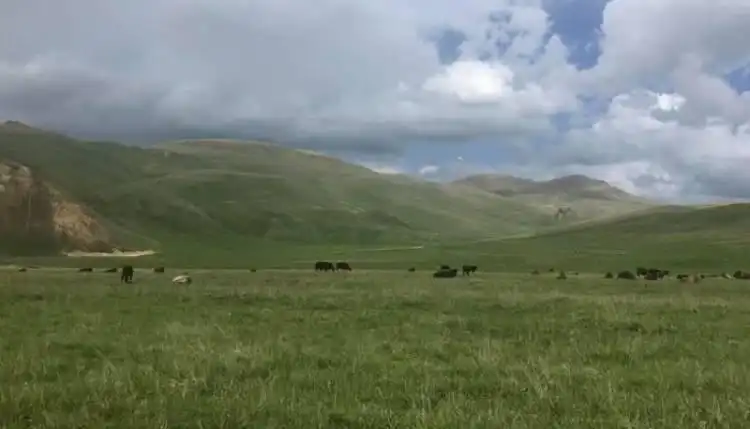Ատրպէյճան կը շարունակէ ոտնձգութիւնները