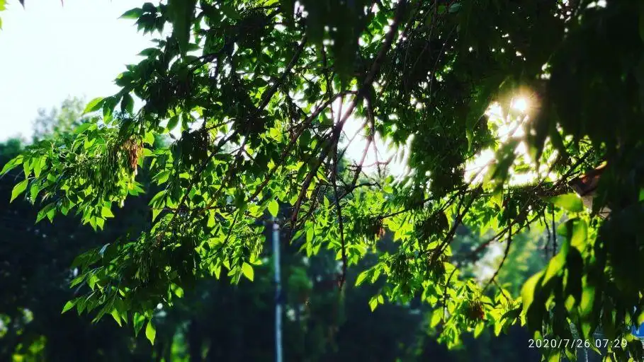  Կը սպասուի բարձր կարգի հրդեհավտանգ իրավիճակ