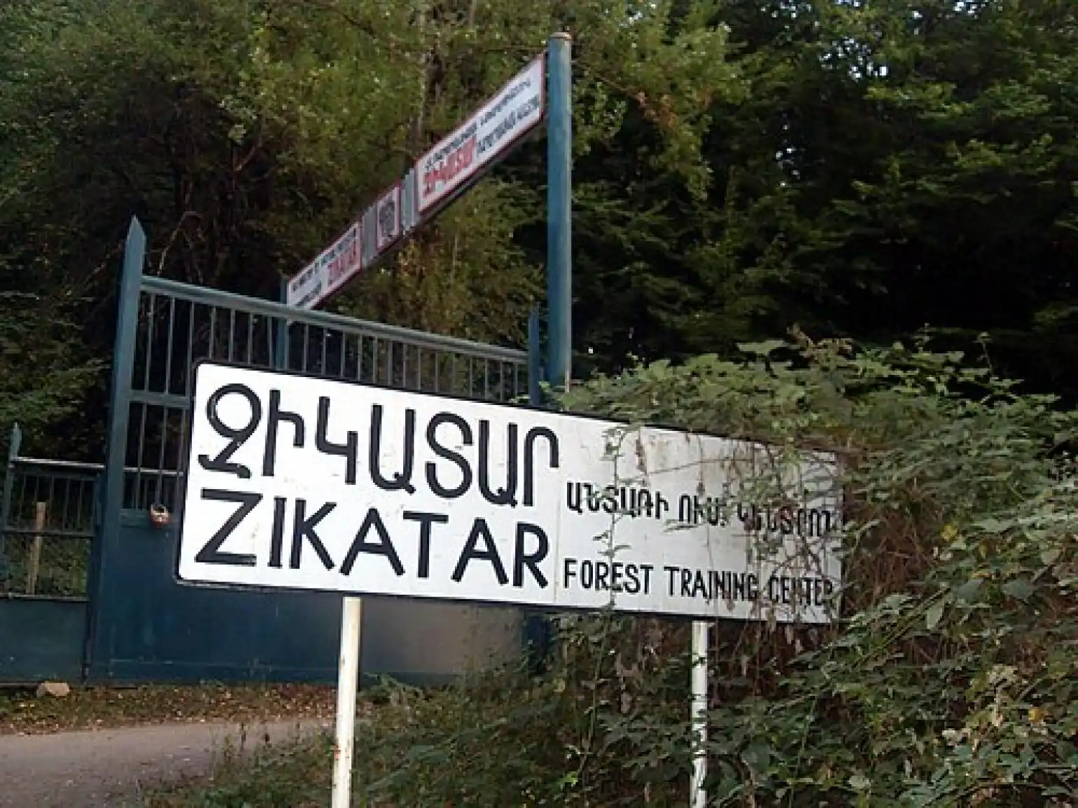 Տաւուշի մէջ քաղաքացին ինկած է ձորը