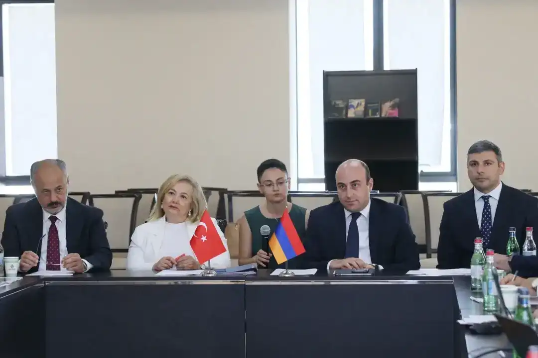 Կայացած է Անիի կամուրջի վերականգնման հարցերով Հայաստան-Թուրքիա աշխատանքային խումբի 2-րդ հանդիպումը