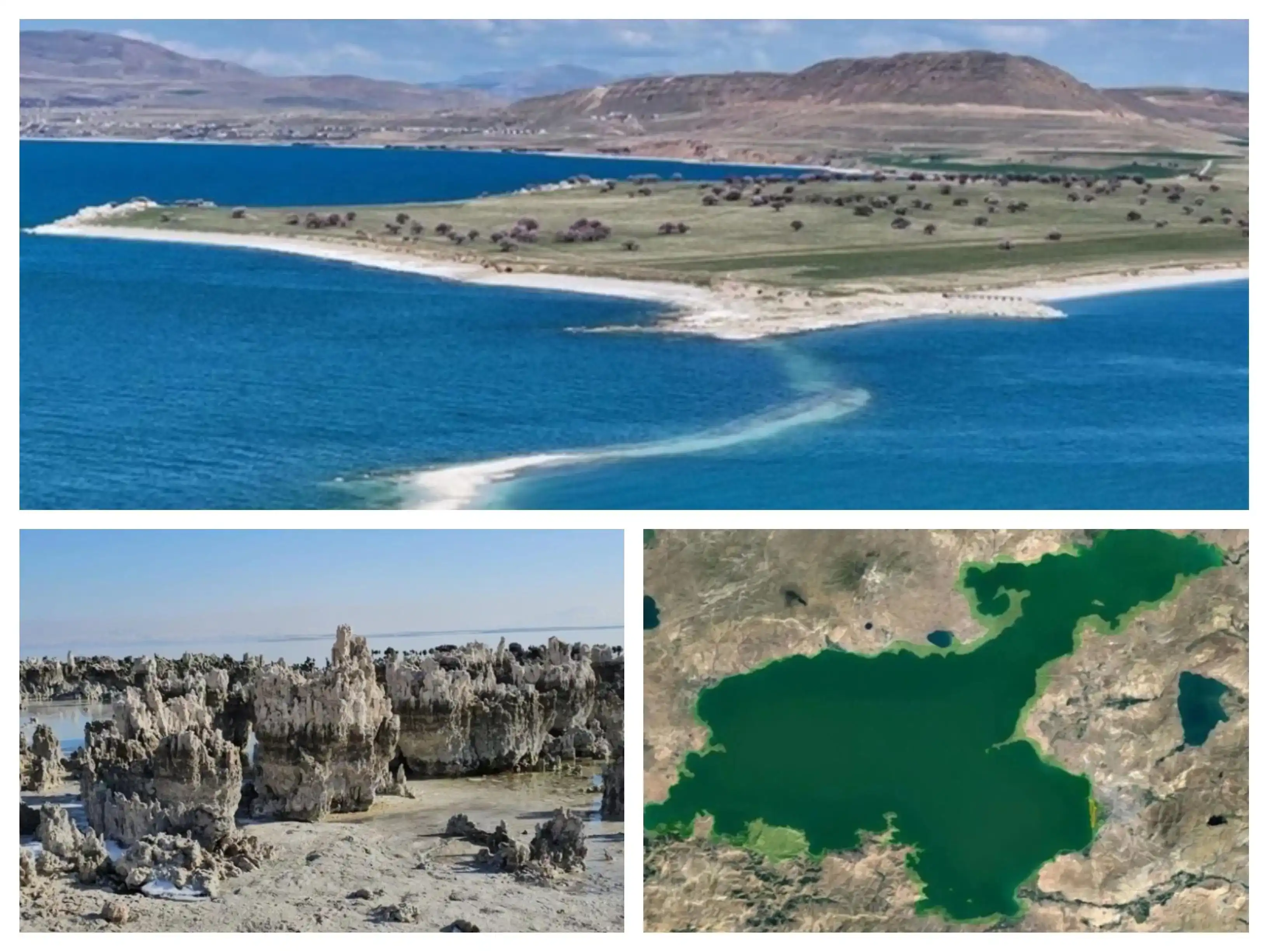 Վանայ լիճը բնապահպանական լուրջ ճգնաժամի մը դէմ յանդիման 