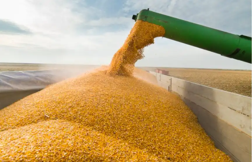 Արցախի  մէջ. Ցորենի եւ Գարիի արտահանումը   օրէնքով արգիլուեցաւ