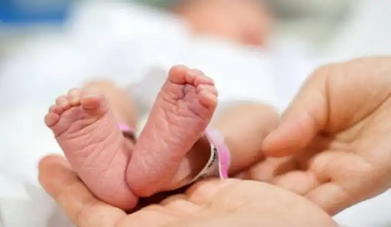 Անցնող 6 ամիսներուն Արցախի մէջ լոյս աշխարհ եկած է 792 երեխայ