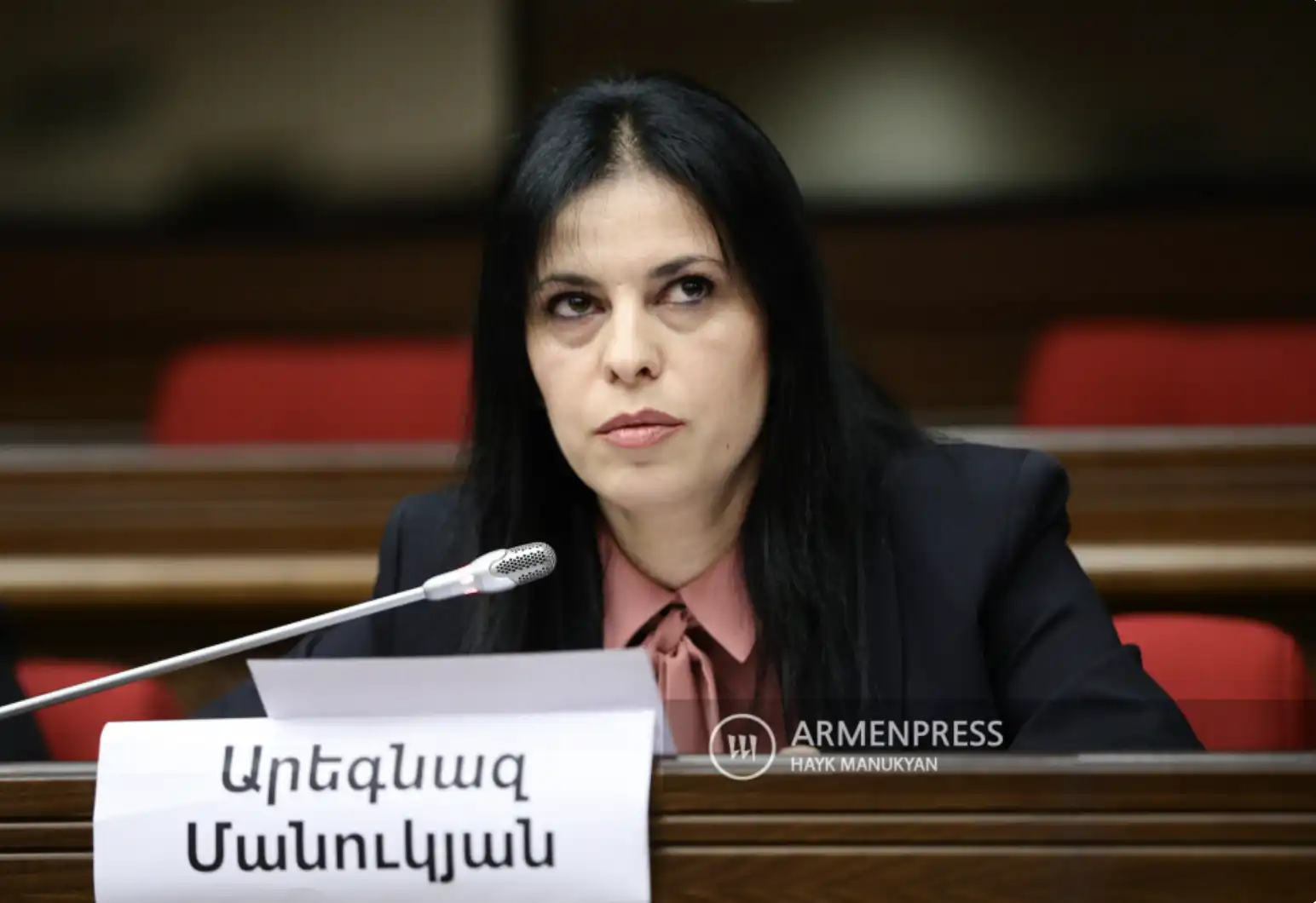 ԲՀԿ պատգամաւորի թեկնածու Արեգնազ Մանուկեանը կալանաւորելու միջնորդութիւն ներկայացուած է դատարան