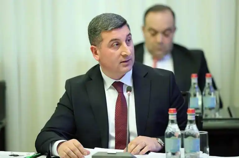 Հանդիպումը  կառուցողական էր. Գնէլ Սանոսեան