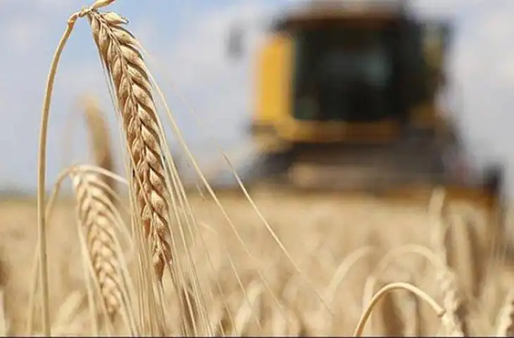 Ռուսիա եւ Թուրքիա կը քննարկեն ուքրանական  հացահատիկի հարցը 