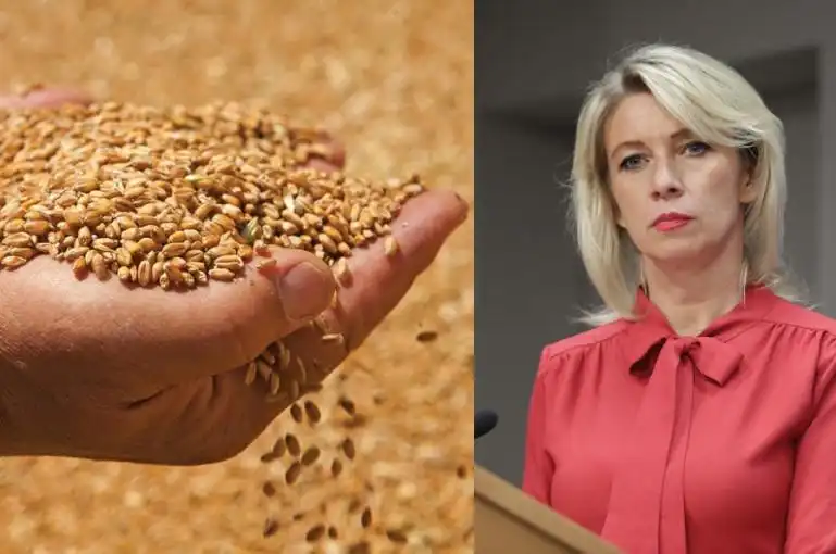 Եթէ կը փափաքին լուծել համաշխարհային սովի խնդիրը, պէտք է չեղարկեն պատժամիջոցները. Զախարովա