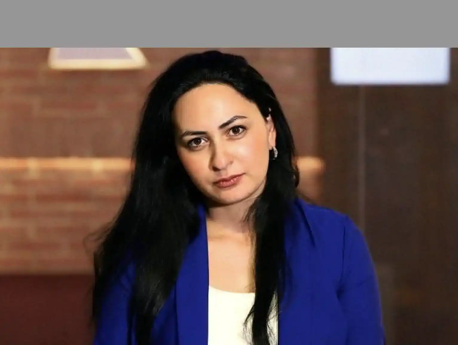   «Հայաստանի տեսանկիւնէն չափազանց կարեւոր է Իրան-Արեւմուտք յարաբերութիւններու կարգաւորումը».Լիլիթ  Դալլաքեան 