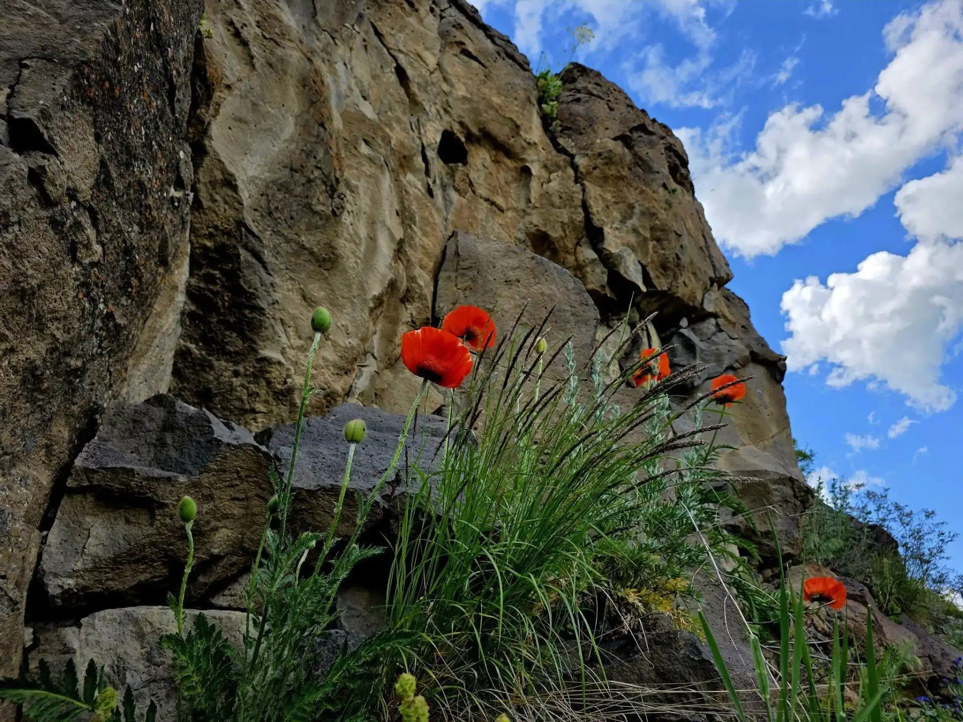 Օդի ջերմաստիճանն առաջիկայ օրերուն պիտի նուազի 5-էն 7 աստիճանով