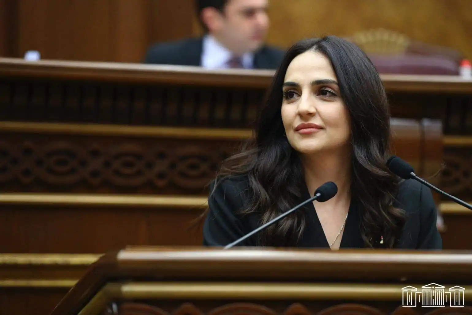 Ալխաս Ղազարեան ՀՀ Ազգային Ժողովի նախագահի տեղակալի թեկնածու