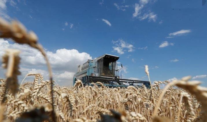 Ռուսաստանը արգիլած է ցորենի արտահանումը ԵԱՏՄ երկիրներ