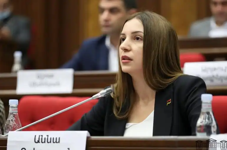 «Եթէ  աւելի վաղ էին ներխուժած, ինչո՞ւ նրանց դուրս չէք շպրտել». Աննա Գրիգորեանը ՊՆ-ի յայտարարութեան մասին 