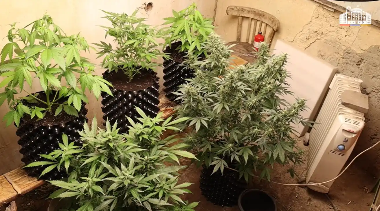 Երեւանի մէջ թմրանիւթի արտադրամաս յայտնաբերուած է