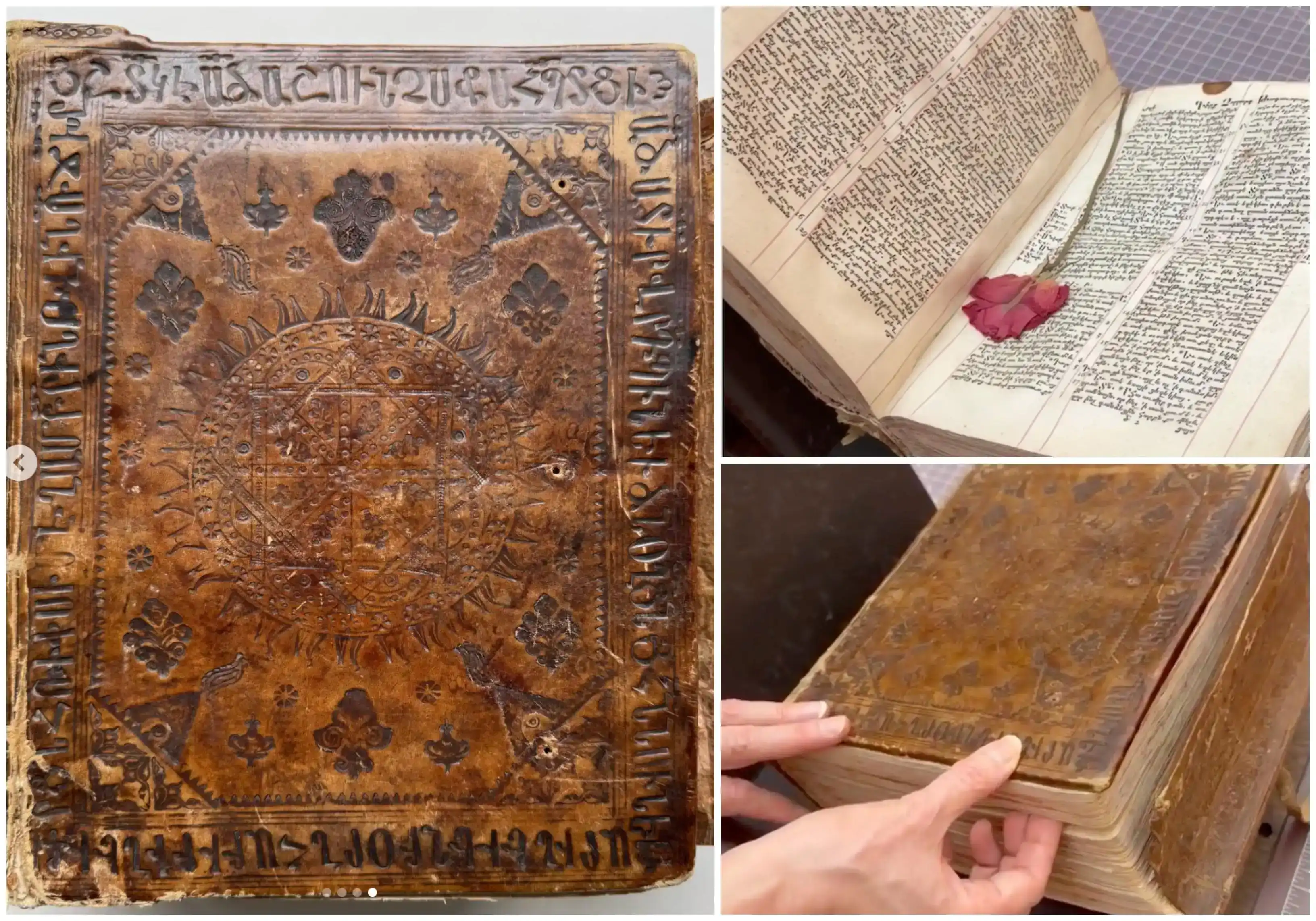 Կարմիր վարդը 1666-ին տպագրուած  (Առաջինը, որպէս հայերէն) Աստուածաշունչին մէջ 