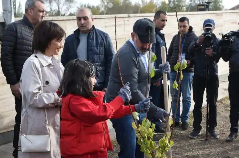 Փաշինեան  մասնակցեցաւ՝ ծառատունկի 