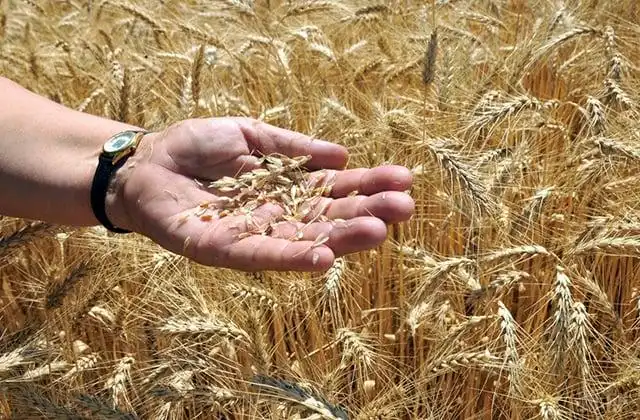 Հայերը կ՚ուզեն անջատուիլ Մոսկուայէն եւ օգնութիւն ցուցաբերել Ուքրանիոյ. Ռուսիոյ ԱՀԾ