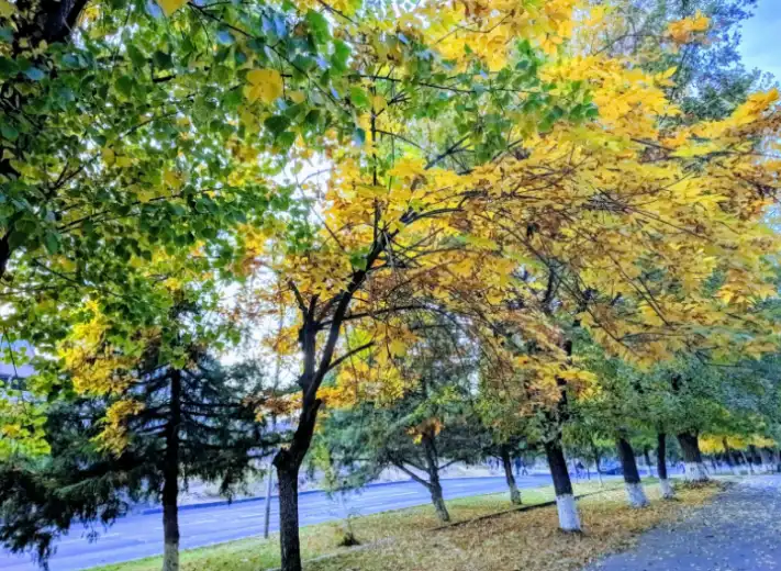 Օդի ջերմաստիճանը պիտի բարձրանայ