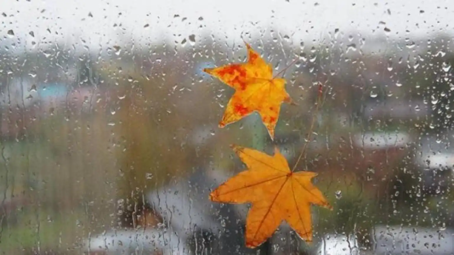 Հանրապետութեան տարածքին կը սպասուի կարճատեւ անձրեւ․ օդի ջերմաստիճանն էապէս պիտի չփոխուի