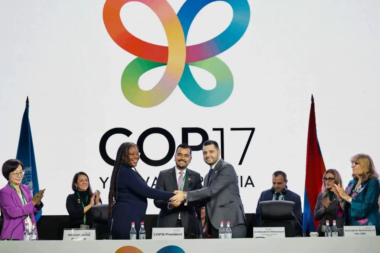 Համբարձում Մաթեւոսեան ընտրուած է COP17-ի նախագահ