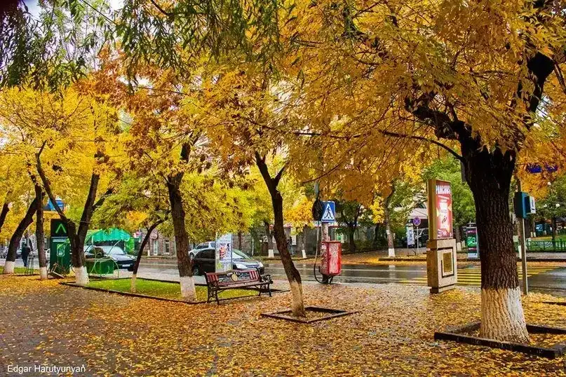 Առանձին շրջաններու մէջ կը սպասուի կարճատեւ անձրեւ եւ ամպրոպ