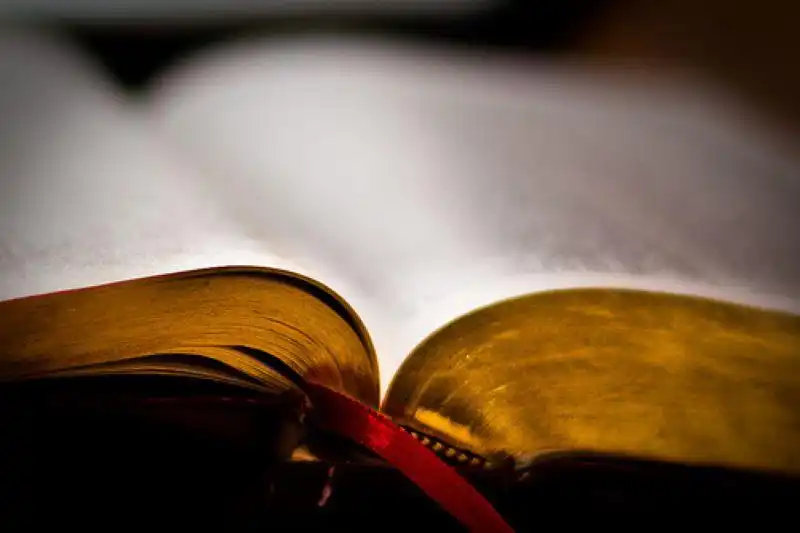 Հայերէնը կը զուաճանայ (33)          