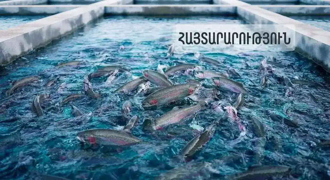 ԱՄԷ արտահանուած է 60 թոն հայկական ձուկ եւ ձկնամթերք