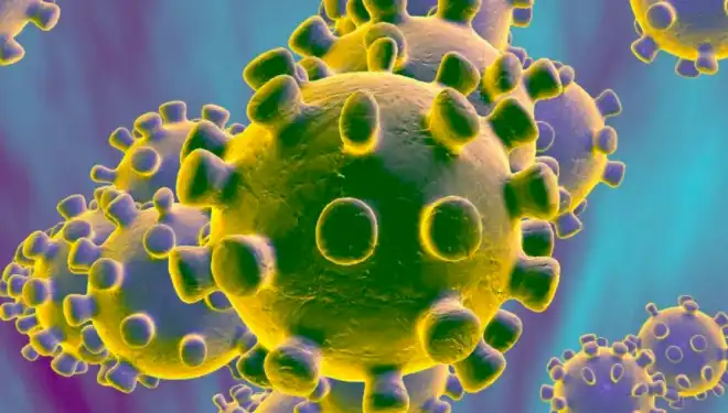 Իմարաթի  մէջ   «Քորոնա» ժահրով  բռնուած  երկու նոր  պարագաներ