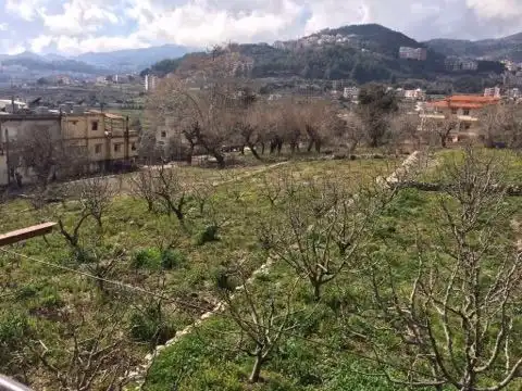Քեսապցիք բնականոն հունով  կը վաճառեն իրենց բերքերը (Լուսանկարներ)