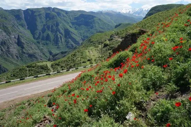 Քաղաքական կամքի եւ ուժի  բացակայութիւն. Կամ Սիւնիքի հարցը չէ  փակուած
