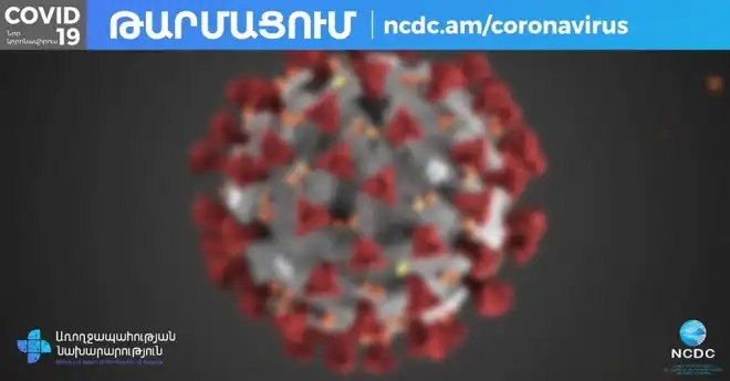 Հայաստանում այս պահին 23 վարակակիր կա. Նախարար