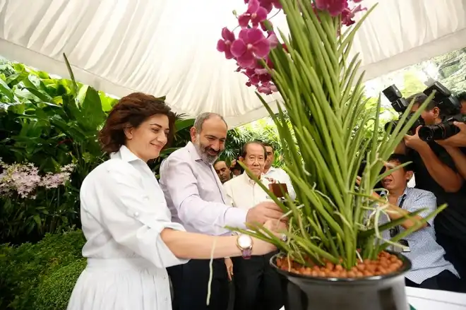«Սինգապուրյան խոլորձ»-ի նոր տեսակն անվանակոչվել է Նիկոլ Փաշինյանի և Աննա Հակոբյանի անունով