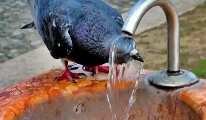 Երեւանի մէջ եղանակը պիտի հովանայ