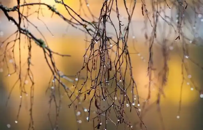 Եղանակը պիտի ցրտի