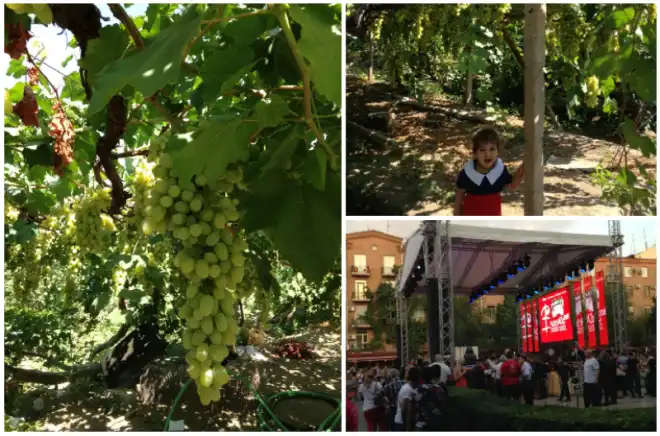 Գիւղական Օրագիր. Գիւղ Ուշի (ԺԲ.)