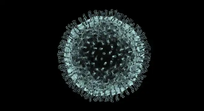 Դա՛րձեալ  corona virus