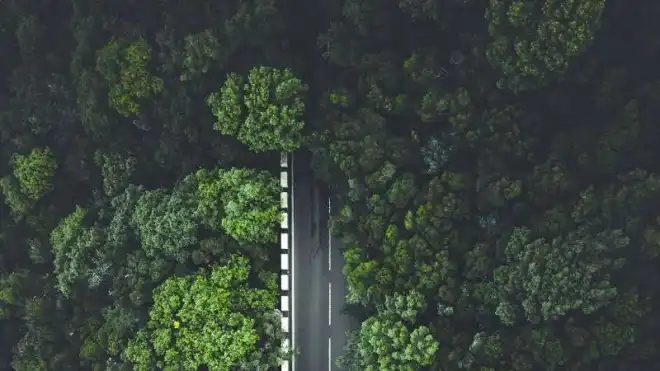 «Փորձութեան մի՛ տանիր մեզ»