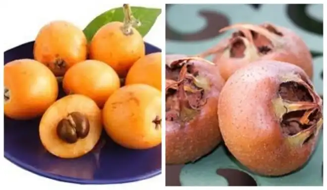 Հայերէնը կը զուաճանայ (9)