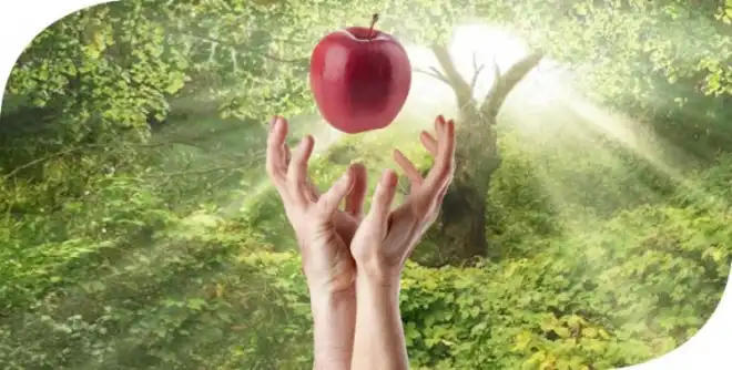 Սկզբնական մեղքի մասին