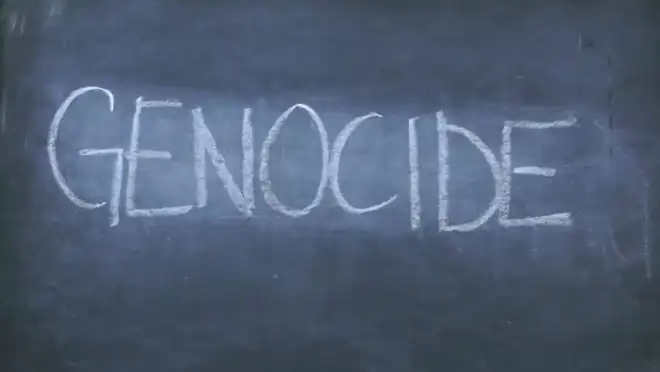 Հայաստանի մօտ Միացեալ Նահանգներու դեսպանը Հայոց Ցեղասպանութիւնը պէտք է կոչէ «Ցեղասպանութիւն»