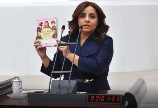 Հեռակայ զրոյց` Թուրքիոյ Խորհրդարանի միակ հայ կին երեսփոխան Սելինա Տողանի հետ