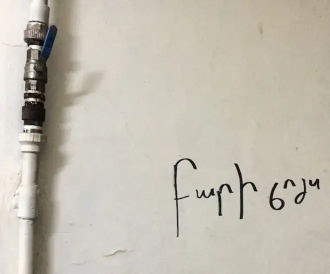 Մայրենի լեզուն նաեւ դիմադրութեամբ. Սեւան Տէյիրմենճեան