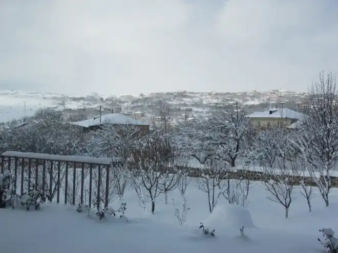 Գիւղական Օրագիր. Գիւղ Ուշի ( ԺԷ. Մաս)