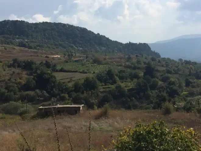 Զգոյշ Մեղուին Փեթակը Խառնելէ. Սեւակ Յակոբեան