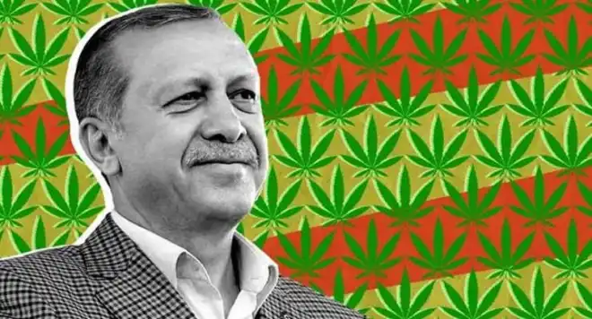 Թուրքիոյ նախագահ Էրտողան կ՛օրինականացնէ թմրամիջոցները՝  հակառակ իր իսլամական հաւատքին