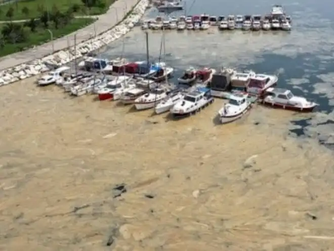 Թուրքիոյ մէջ. Մեծ մեղադրանք երկրի ընդդիմութեան