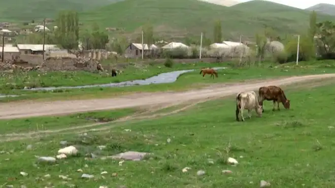 Ատրպէյճան կը շարունակէ թիրախաւորել հայկական գիւղերը. Այս անգամ գողութիւնը Վերին Շորժա գիւղին մէջ է