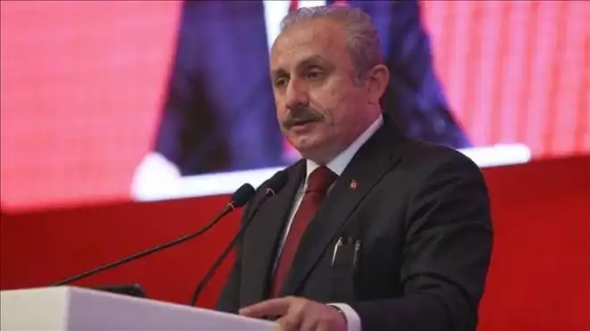 Թուրքիոյ խորհրդարանի անդամը «գովաբանած» է ռուս-թրքական համաձայնագիրը